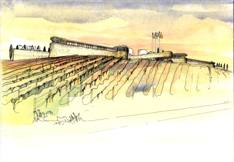Luigi Rosselli, Sketch, Winery