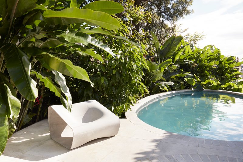 Cool, pink-toned stone coping encircles the swimming pool, with large ferns and trees lining the edges, creating a tropical oasis at the heart of Sydney