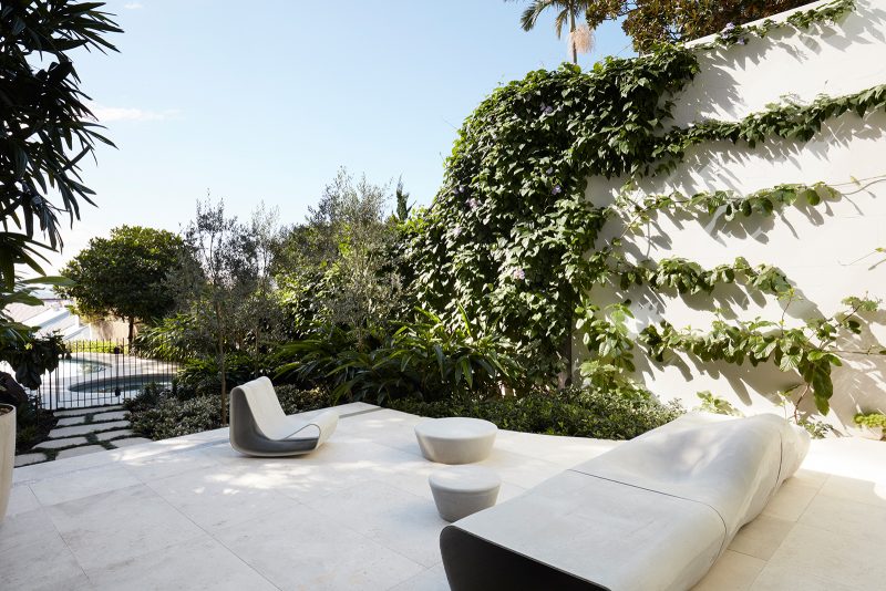 Along the party wall, ferns overspill along the stacked in-wall planters into the patio, landscaped by Dangar Barin Smith